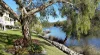 23/84 Cumberland Drive, Varsity Lakes, Qld 4227-Image