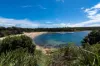 23 Adams Avenue, Malabar, NSW 2036-Image