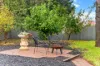 23 Adelaide Terrace, Edwardstown, SA 5039-Image