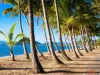 23 Aurelia Road, Palm Cove, Qld 4879-Image