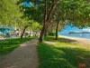 23 Aurelia Road, Palm Cove, Qld 4879-Image