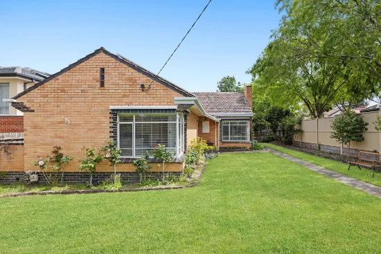 23 Barkly Street, Box Hill, Vic 3128
