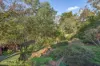 23 Bengal Crescent, Mount Waverley, Vic 3149-Image