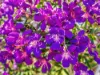 23 Burrawong Parade, Urunga, NSW 2455-Image