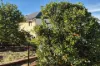 23 Cairn Crescent, Gingin, WA 6503-Image