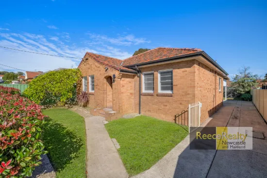 23 Catherine Street, Waratah West, NSW 2298