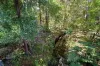 23 Coombar Close, Coffs Harbour, NSW 2450-Image