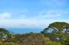 23 Dahlia Street, Dromana, Vic 3936-Image