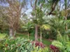 23 Dudley Drive, Goonellabah, NSW 2480-Image