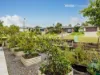 23 Eagle Hawk Drive, Southside, Qld 4570-Image