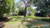 23 Elizabeth Street, Gracemere, Qld 4702-Image