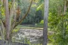 23 Elouera Close, Landsborough, Qld 4550-Image