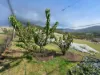 23 Eric Court, Granton, Tas 7030-Image