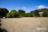 23 Esplanade, Whitemark, Tas 7255-Image