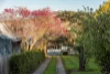 23 Franklin Place, Hamilton, Tas 7140-Image