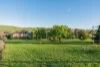 23 Franklin Place, Hamilton, Tas 7140-Image