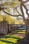 23 Franklin Place, Hamilton, Tas 7140-Image