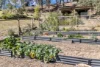 23 Gillespie Street, Cobargo, NSW 2550-Image