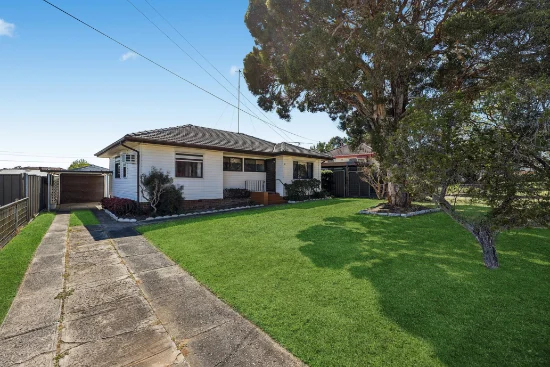 23 Guthega Street, Heckenberg, NSW 2168