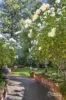23 Harney Street, North Bendigo, Vic 3550-Image