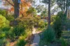 23 Holmes Street, Leura, NSW 2780-Image