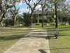 23 Lagoon St, Yelarbon, Qld 4388-Image