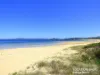 23 Lakeside Dr, Eden, NSW 2551-Image