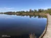 23 Lakeside Dr, Eden, NSW 2551-Image