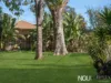 23 Langridge Street, Raceview, Qld 4305-Image