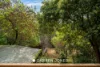 23 Louis Street, Greensborough, Vic 3088-Image