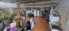 23 Lynn Street, Ingham, Qld 4850-Image