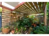 23 MacBean Street, Culcairn, NSW 2660-Image