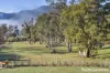 23 Mapley Road, Lachlan, Tas 7140-Image