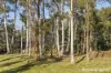 23 Mapley Road, Lachlan, Tas 7140-Image