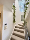 23 Mary Street, Carlton North, Vic 3054-Image