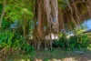23 Moresby Street, Trinity Beach, Qld 4879-Image
