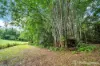23 Moretto Street, Babinda, Qld 4861-Image
