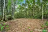 23 Moretto Street, Babinda, Qld 4861-Image