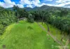 23 Moretto Street, Babinda, Qld 4861-Image