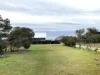 23 Morrison Street, Falmouth, Tas 7215-Image