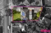 23 Neriba Crescent, Whalan, NSW 2770-Image
