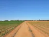 23 North River Road, Carnarvon WA 6701-Image