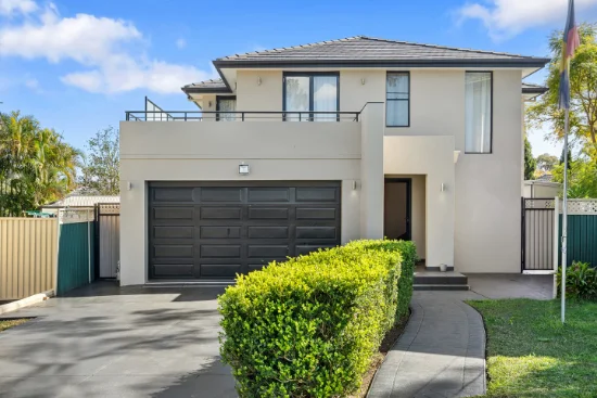 23 Patrick Street, Punchbowl, NSW 2196