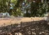 23 RENIER Crescent, Moranbah, Qld 4744-Image