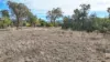 23 River Street, Moonbi, NSW 2353-Image