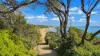23 Seahaven Drive, Ventnor, Vic 3922-Image