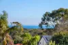 23 Seaview Close, Rosebud, Vic 3939-Image