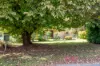 23 Selwyn Street, Barry, NSW 2799-Image