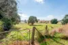 23 Selwyn Street, Barry, NSW 2799-Image