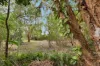 23 Skylark Street, Slade Point, Qld 4740-Image